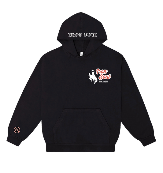 Rev 19:11 Premium Hoodie